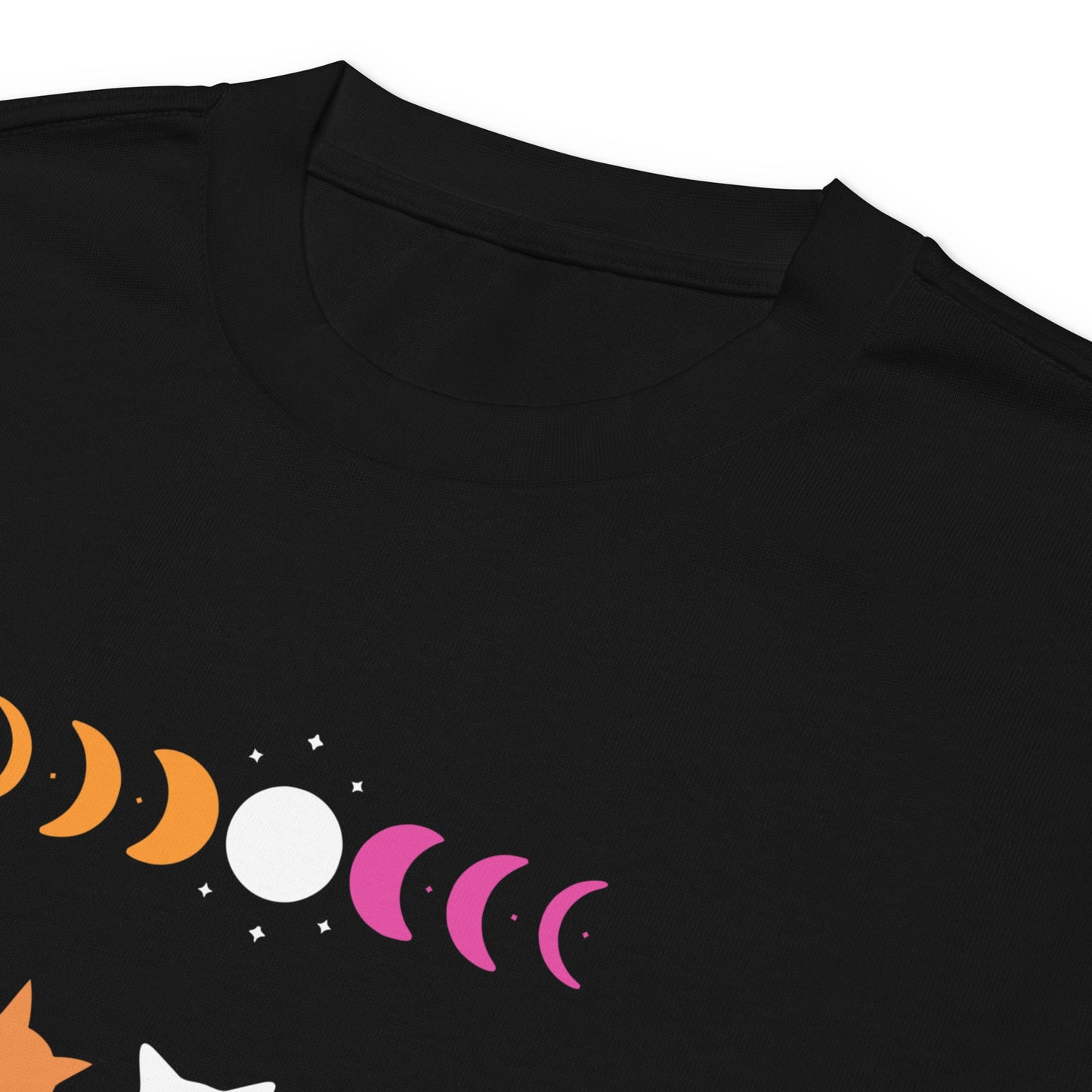 Subtle Lesbian Flag | Cats and Moon Phases | Premium heavyweight long sleeve shirt - The Sapphic Company